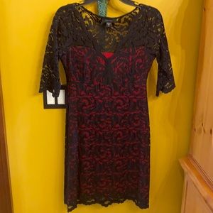 Karen Kane small stretch lace and lined dress